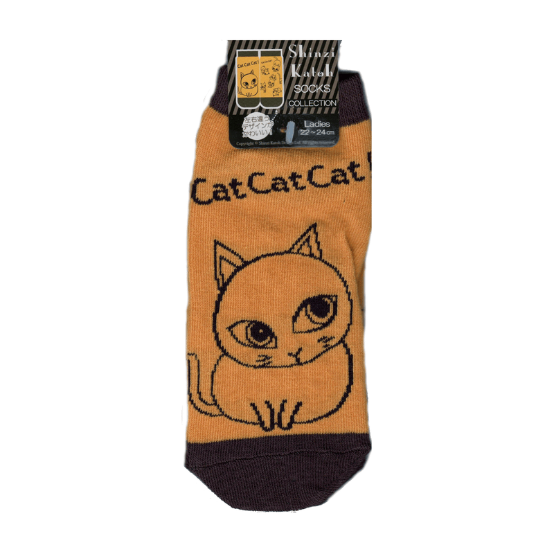 The actual sock and it fits a Size 8 shoe