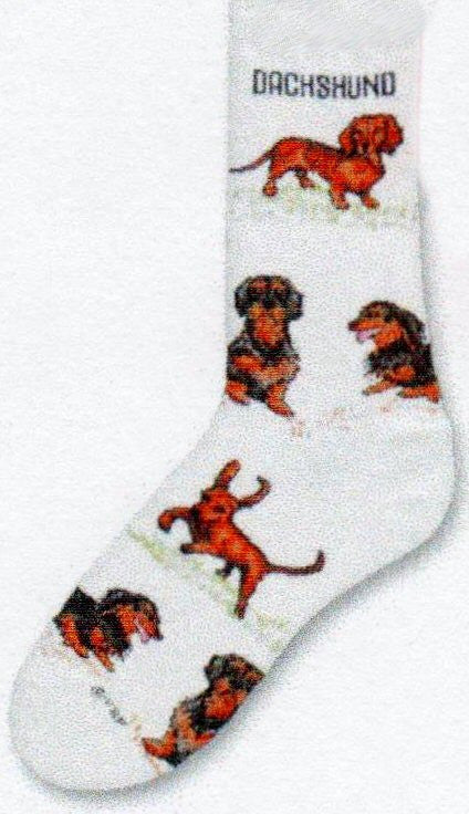 Dachshund Poses 2 Socks by FBF start on a Bright White background with the Word Dachshund below the Cuff. The Poses of different kinds of Dachshunds surround the sock to the toe.