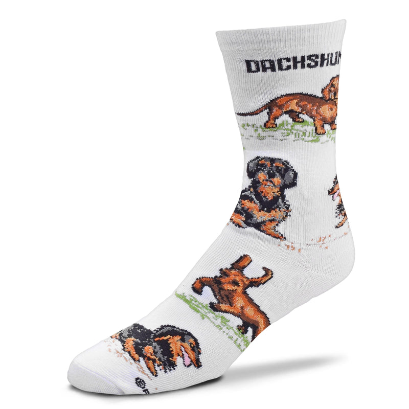 FBF Dachshund Poses 2 Sock on a White background with Short Hair Dachshund and Long Hair Dachshund posing on this Sock on a Foot Form.