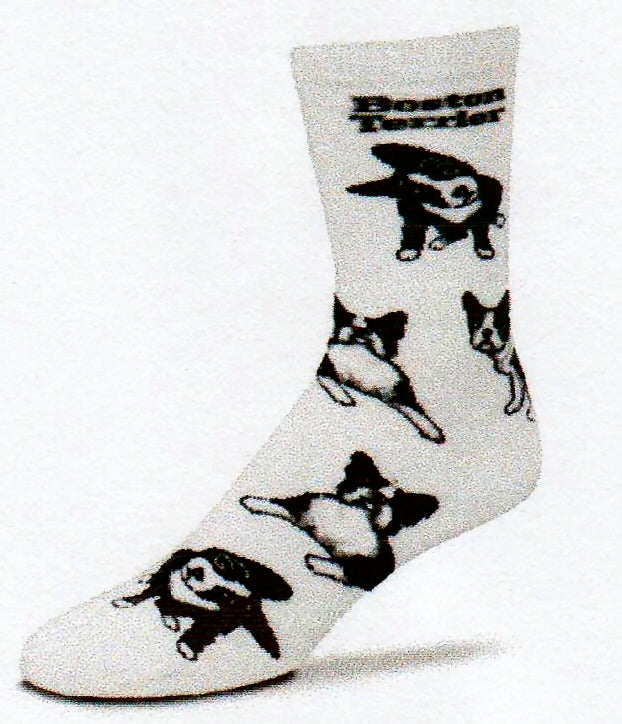 FBF Boston Terrier Poses 2 on a White background, Black Bold Print reads Boston Terrier. Poses include Standing, Laying Down and one with Head Cocked to one side looking quizzical. Colors all Black, Grey and White.