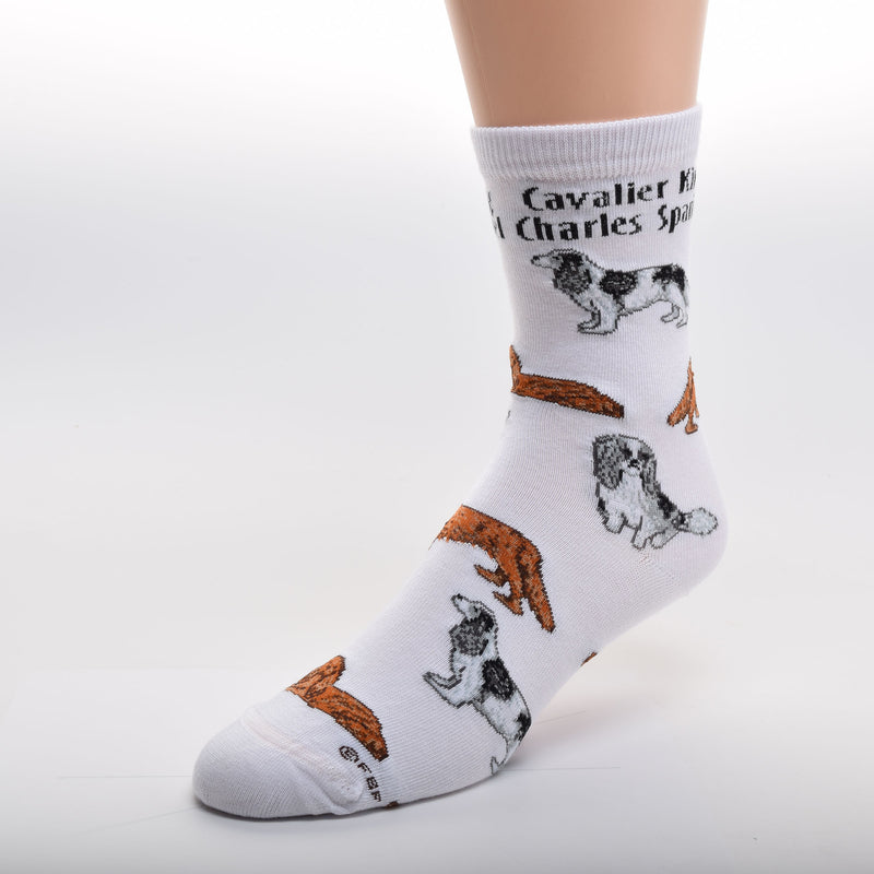 FBF Cavalier King Charles Spaniel Poses Sock is on a White background with Black and White, and Red Color CKC Spaniels