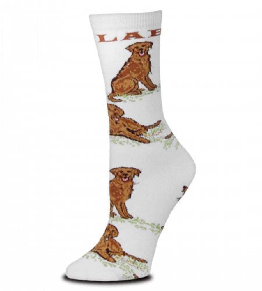 For Bare Feet Chocolate Lab Poses Socks start with a Bright White background. Below the Cuff in Bold Chocolate Letters reads, "LAB". Next come the Poses of the the Chocolate Labs which are Sitting and Laying Down going in rows from Cuff to Toes. The Chocolate Labs are Posed on Green Grass. They are Chocolate and Bronze with Black outlining, Eyes and Nose. The Tongue is Rose.