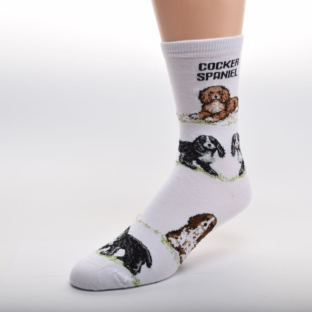 For Bare Feet Cocker Spaniel Poses Sock starts with a White background and has "Cocker Spaniel" in Bold Black Print below the Cuff.  The Poses of the Cocker Spaniels are on top of Green Grass. The first Pose is a Red and White Cocker Spaniel Laying Down. The next ones are Black and White Standing. Then a Dark Brown and White Cocker Spaniel Sitting and at the Toes are Cocker Spaniels Black and White Standing once again.
