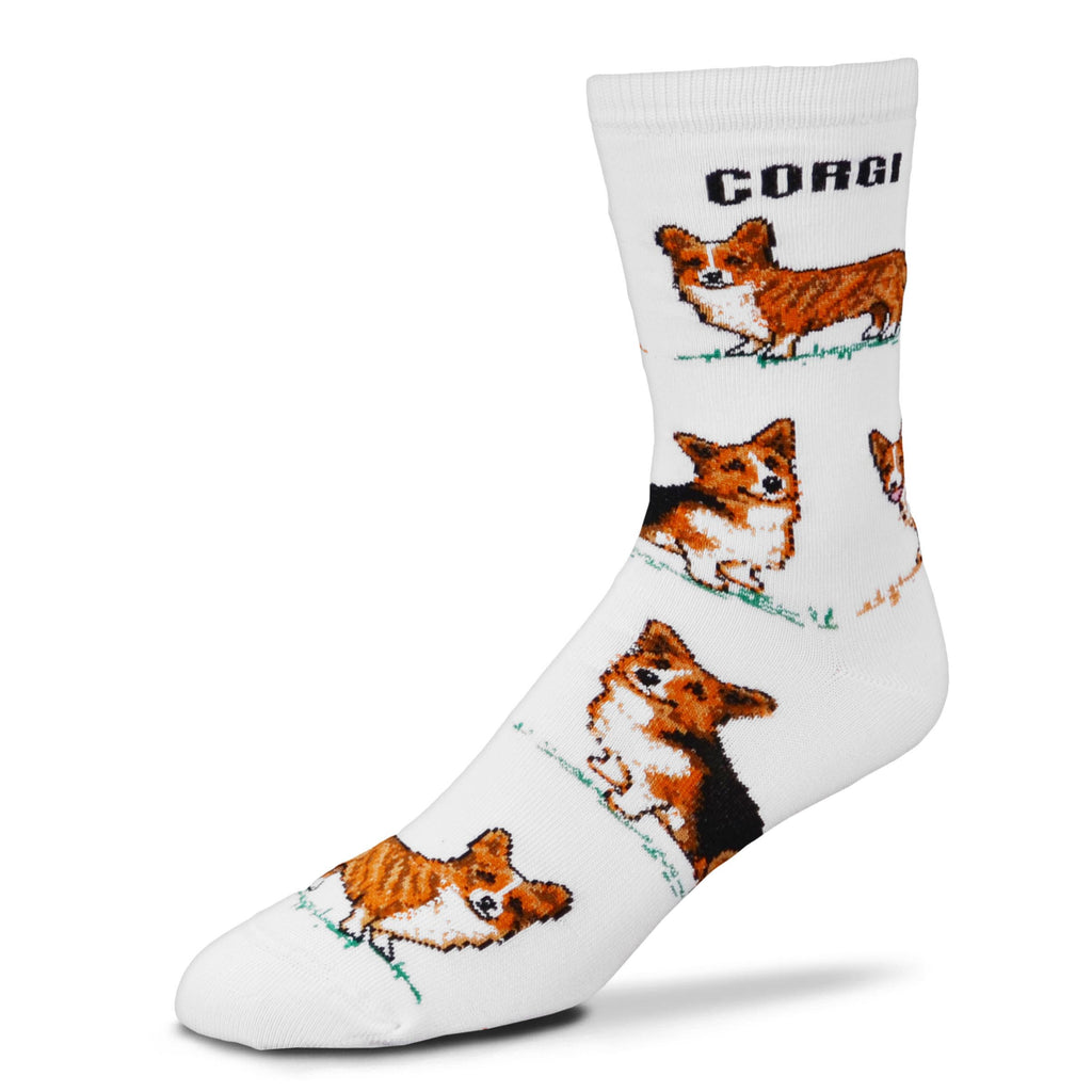 FBF Corgi Poses 2 Sock starts out on a White background. "Corgi" is in Black Bold Print under the Cuff. Below starts a bunch of cute Poses of Corgis. They are Sitting and Standing.