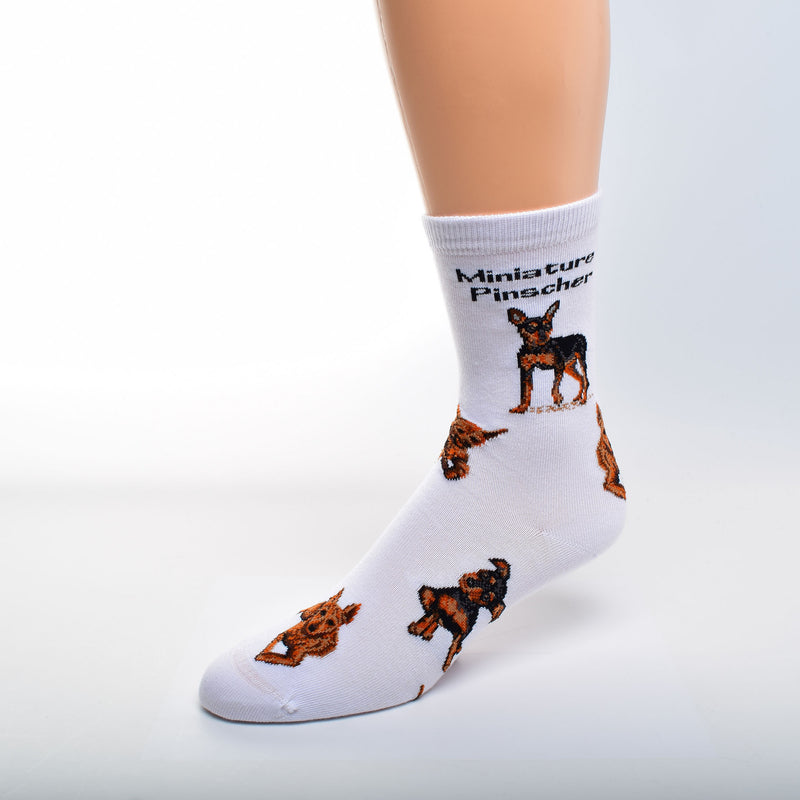 On a White background with Black bold Print reads, "Miniature Pinscher". Under this are four different poses of Laying Down, Looking out at you saying Who Me? Running after a ball maybe and one standing at the ready.
