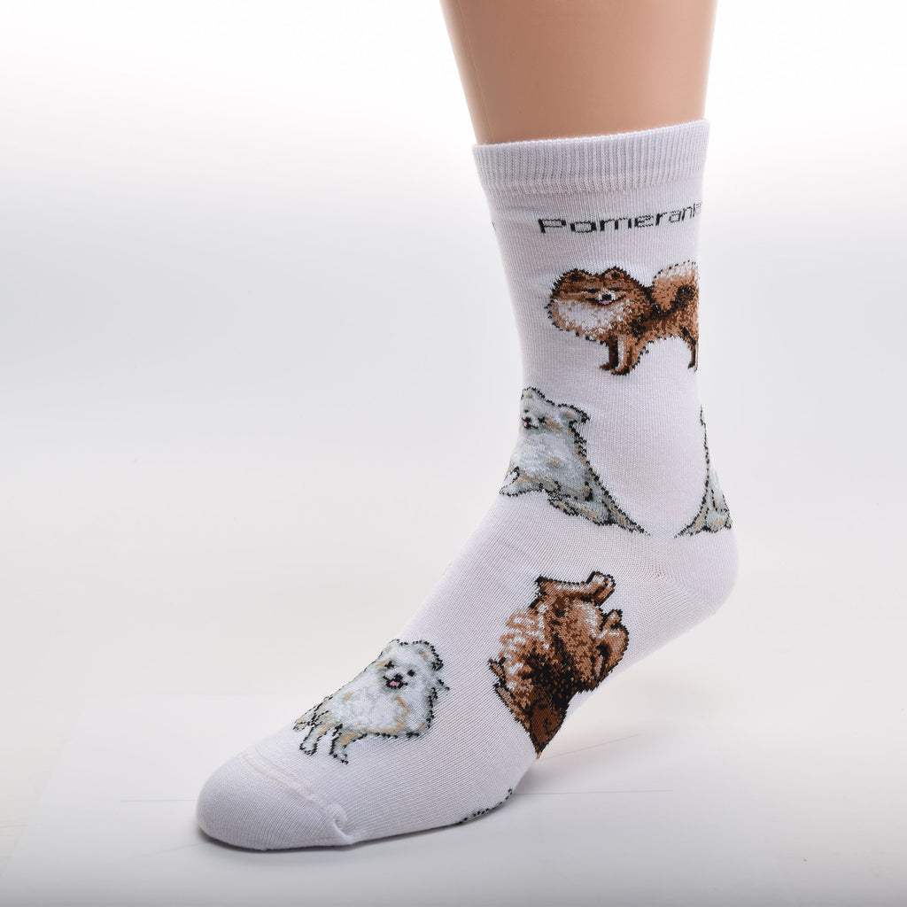 For Bare Feet Pomeranian Poses Sock starts on a bright White background and below the Cuff read, "Pomeranian" in Bold Black Print. Below are different colors that Pomeranians come in and also in different poses. The first two are Pomeranians in Orange Sable in a Stance and Sitting Up. Then come two White Cream and Grey Sitting and the Pattern repeats again.