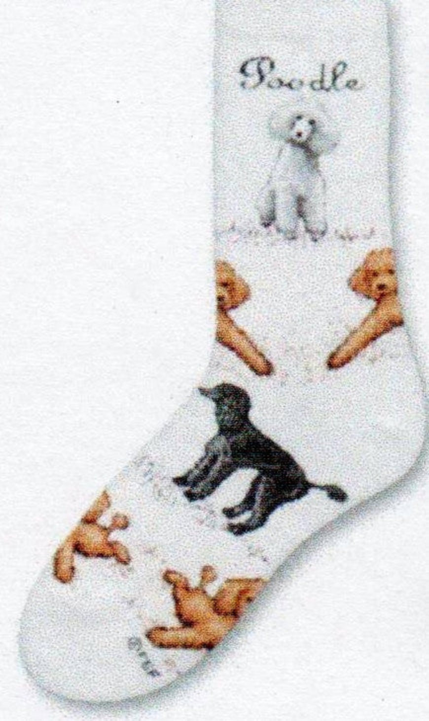 Poodle Poses 2 from FBF starts with a White background and has Poodle written in Cursive. Poodles are in Silver Grey, Black, White and Apricot.
