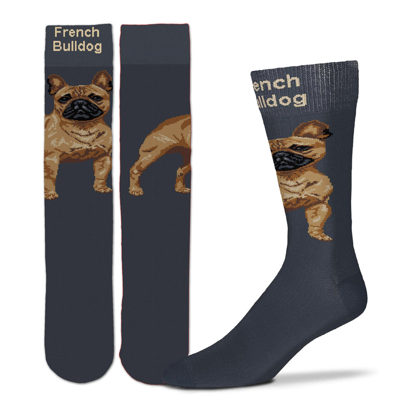 For Bare Feet Realistic French Bulldog Sock begins on a Charcoal sock. The 2 inch wide Cuff has the words French Bulldog in Buff Color. Standing on the top of the foot is the Fawn Colored French Bulldog. Looking out as you walk.