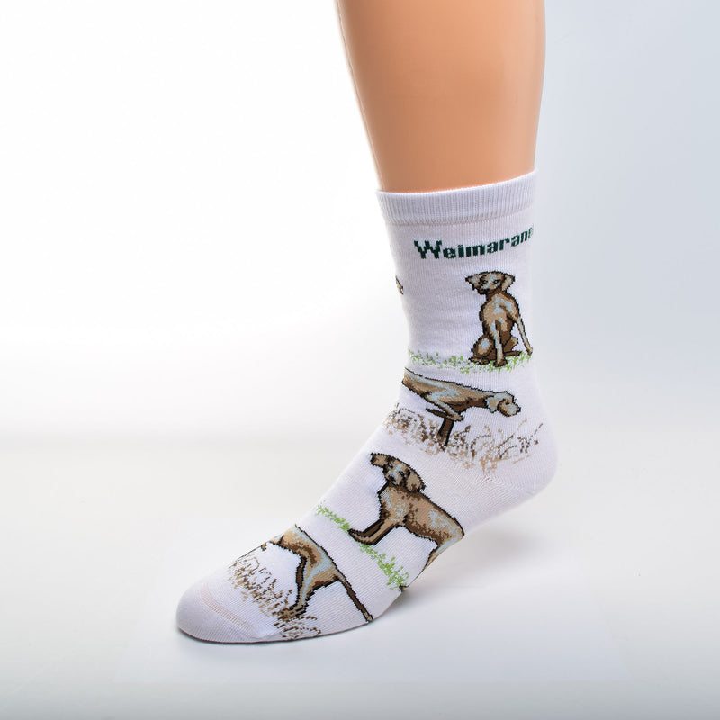 For Bare Feet Weimaraner Poses Sock starts out on a Bright White background. Weimaraner is in Bold Black print under the Cuff. Under his given name the first poses are Standing and Sitting in Green Grass. The next pose is the Weimaraner in a Hunting Pose Pointing in a field of tall Brown and Tan Grass. The poses repeat. The colors of the Weimaraner are Tan, Brown and Grey.