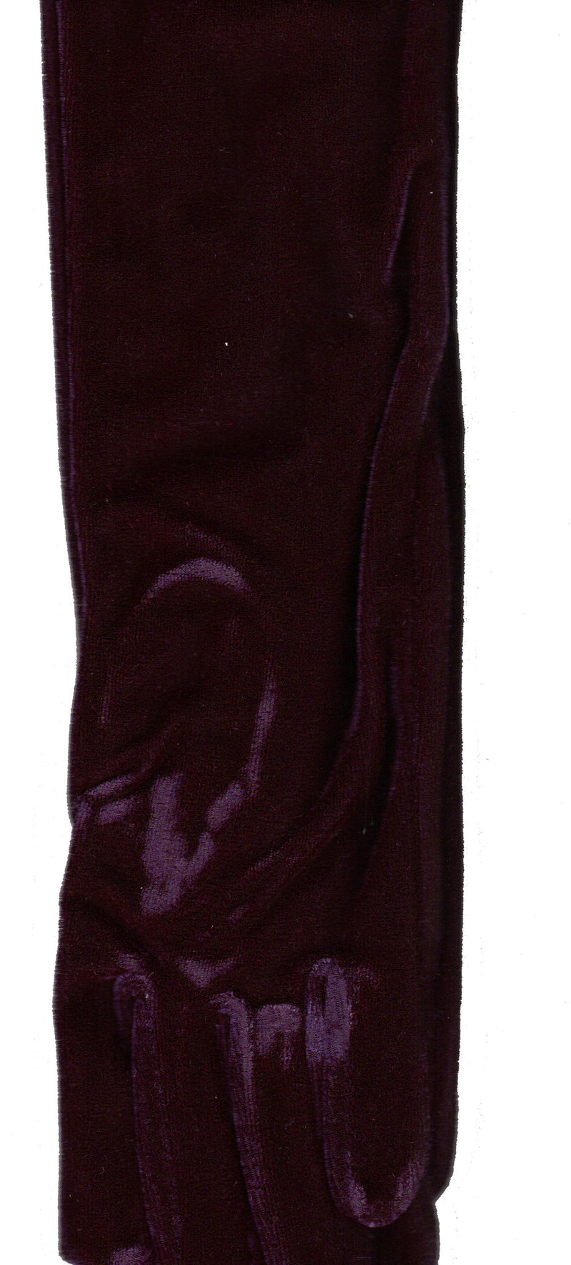 Lauer Stretch Velvet 12 Button Length Glove in Deep Purple
