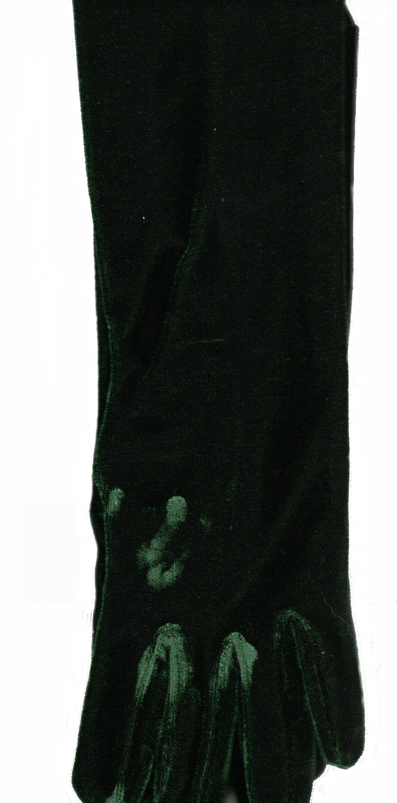 Lauer Stretch Velvet 12 Button Length Glove in Emerald