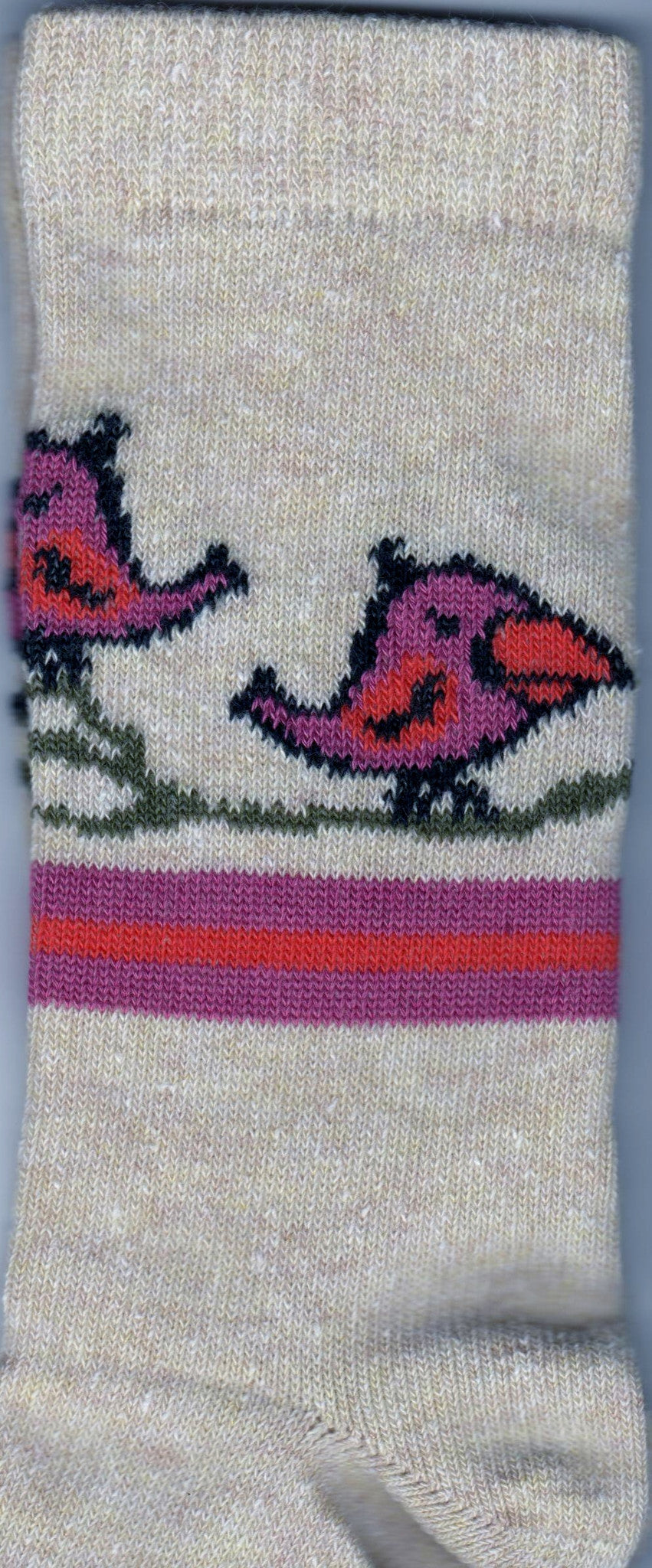 Marley is a strange Fuchsia Bird on a Twig with his Friends visiting him.