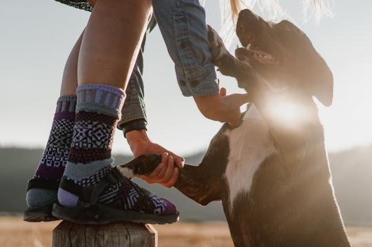 Solmate Wisteria Adult Crew Sock on a Model with Sandals. Colors are Lavender, Light Grey, Purple and Black.