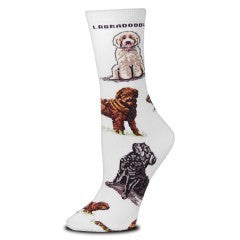 FBF Labradoodle Poses 2 Socks starts on a Bright White background with Labradoodle in bold print at the top. Next come different Colored Labradoodles, Yellow, Chocolate and Black.