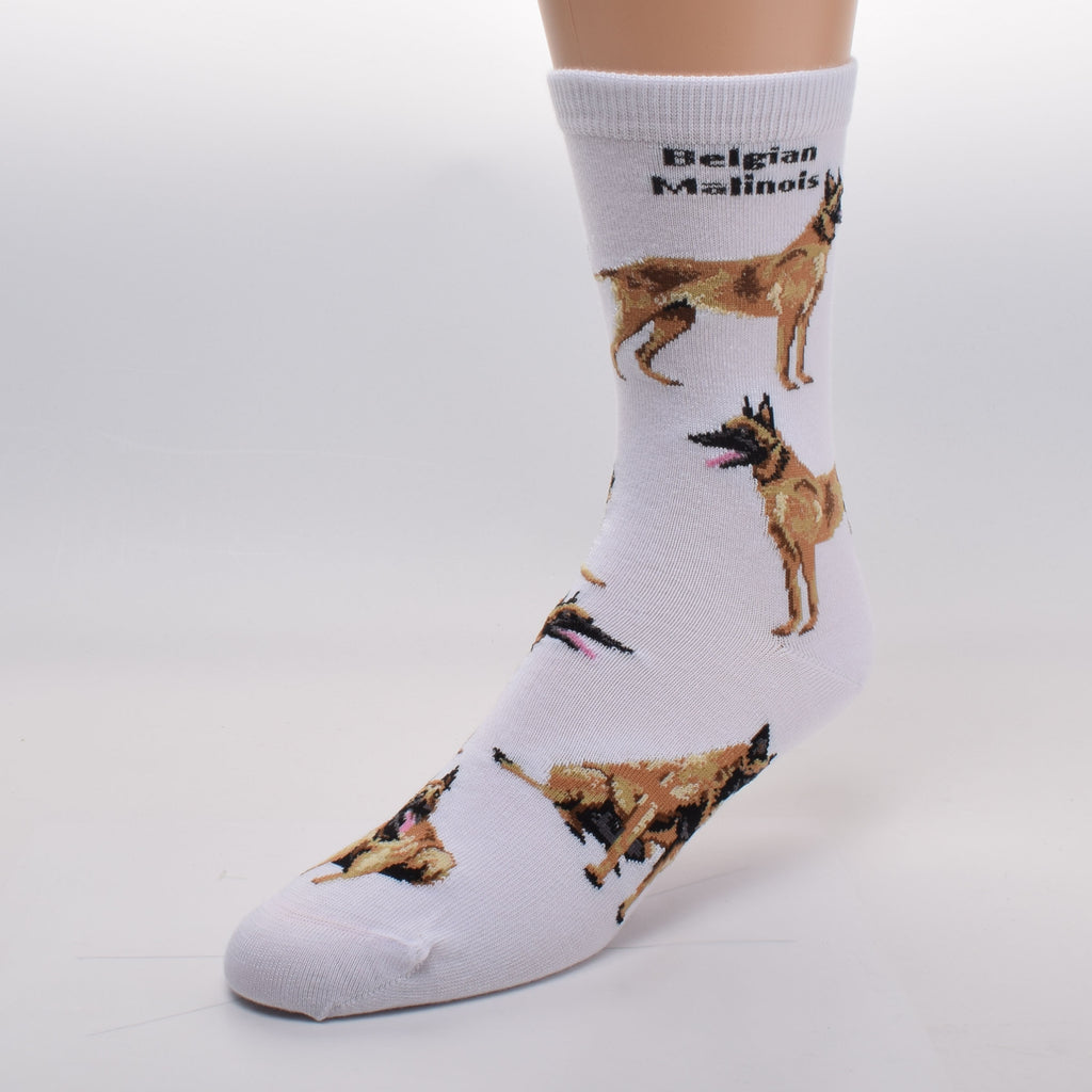 FBF Belgian Malinois Poses Sock starts on a White background. It has Belgian Malinois in bold print at the top of the sock. The poses are Standing, Laying Down and Sitting. Colors include Fawn, Sable and Black.