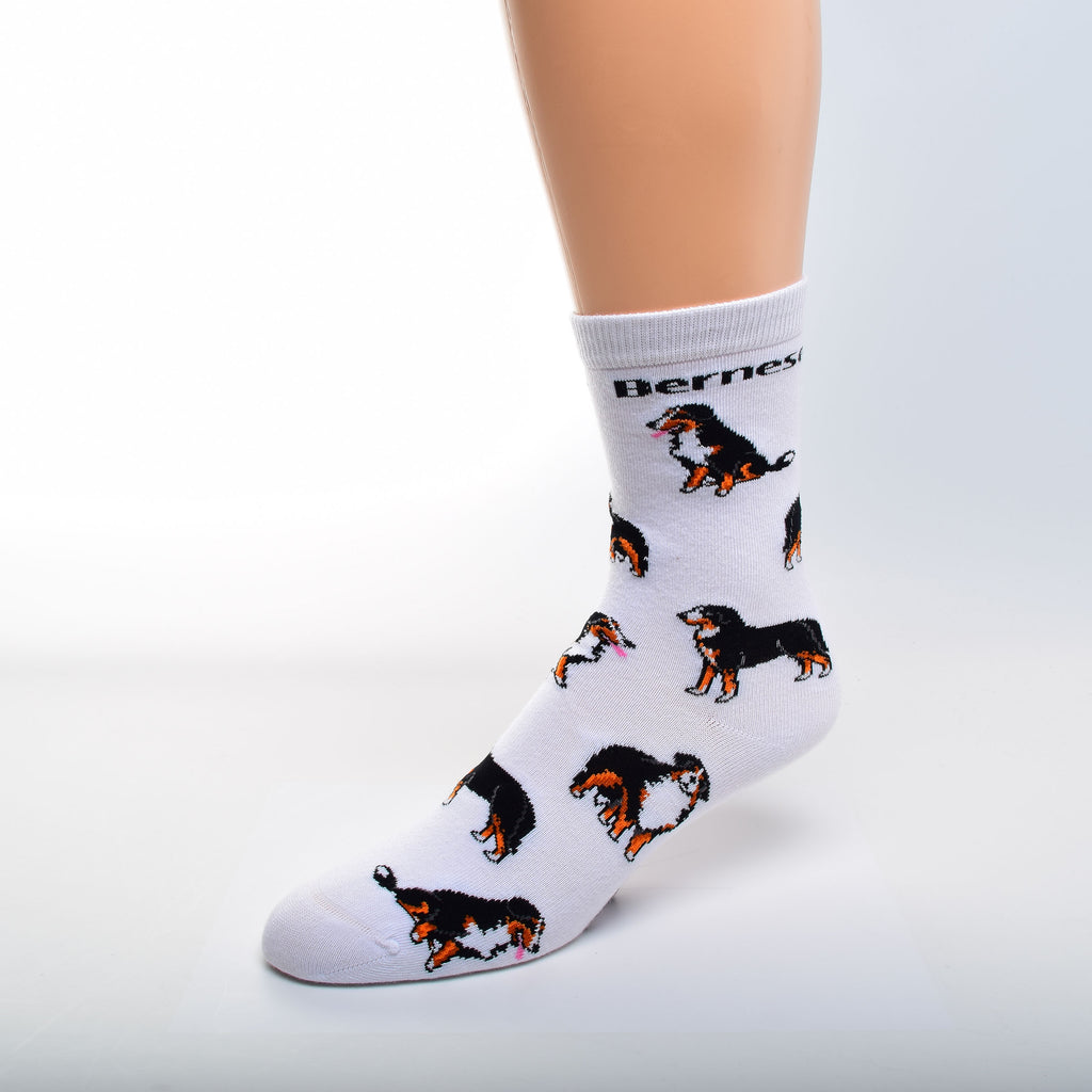 FBF Bernese Poses 2 Sock begins on a White background with Bernese in Bold Black Print under the Cuff. After this are Poses of the Bernese Mountain Dog, Sitting, Standing looking at you and in a Show Stance. The Colors are White, Black and Rust. The Tongue is Pink.
