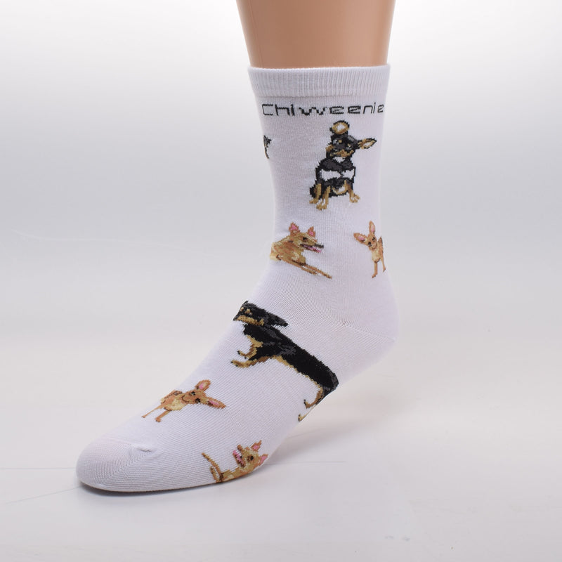 On a White background FBF adds in Bold Black Print under the Cuff Chiweenie. Then Poses of different Chiweenies are placed over the sock. Some look more like Dachshunds others a little more like Chihuahuas.