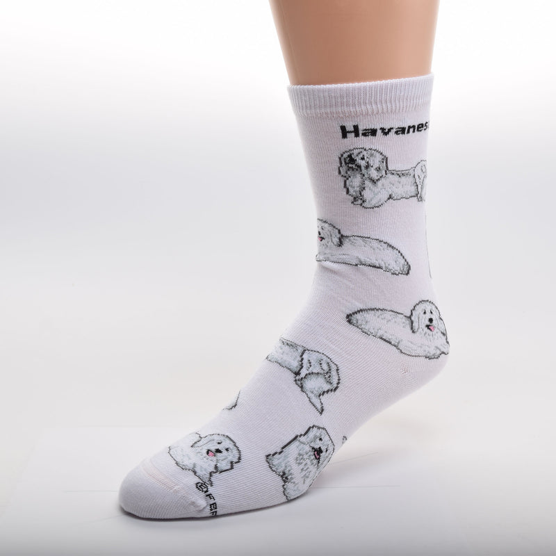FBF Havanese Poses Sock start on a White background with Havanese written below the cuff in Bold Black Letters. The Poses are in a Show Stance, Sitting and Laying down. The Havanese is White, Light Grey with Black Eyes, Nose and Mouth with also the outlining. The Dog's tongue is Rose.