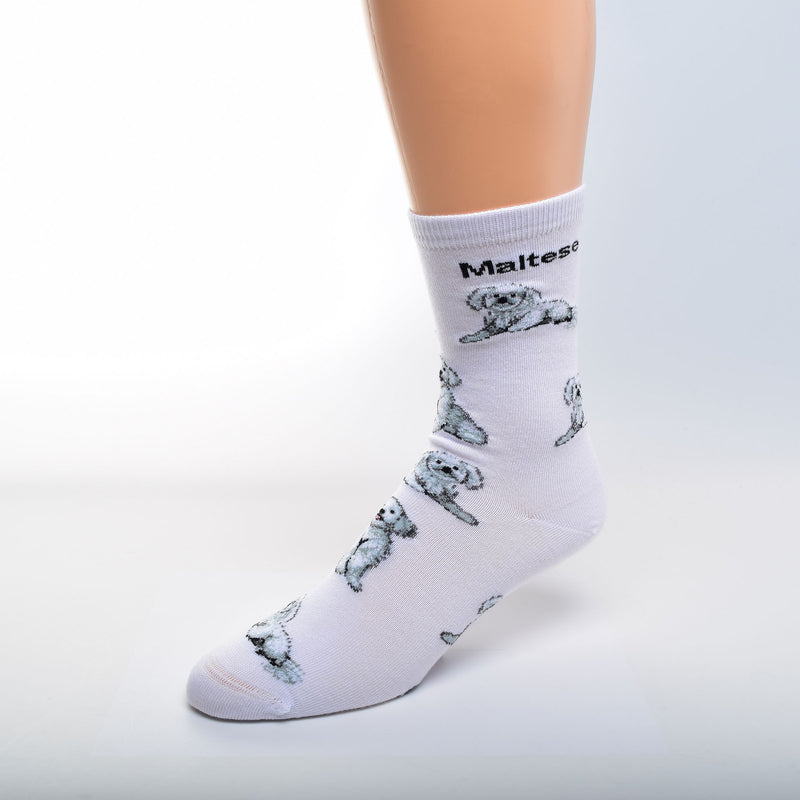 For Bare Feet Maltese Poses Sock starts on a White background with Maltese in Bold Black Print below the Cuff. The Poses of the Maltese are Sitting and Laying Down. The colors used are White, Black and Grey for the Dogs.