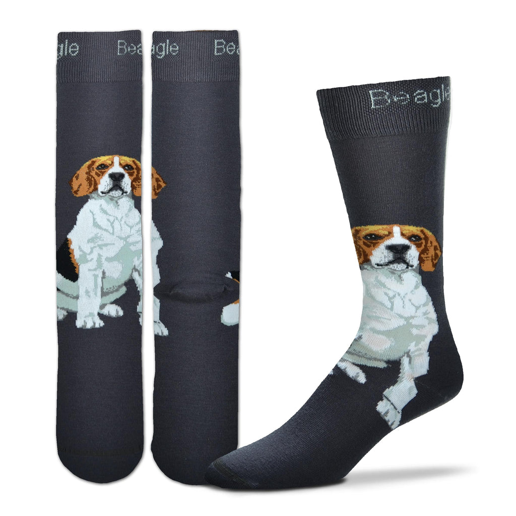 FBF Realistic Beagle Sock starts with a Charcoal base. "Beagle" is written on the Cuff in White. The Beagle sits on Top of the Foot on his haunches. He is White, Grey, Black, Russet Buff and Seal Brown in colors.