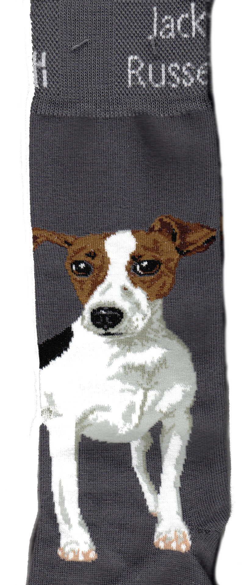 The For Bare Feet Realistic Jack Russell Sock starts on a Charcoal background. The Jack Russell is standing at the top of the foot ready to play. He is White, Light and Medium Greys showing Highlights and Shadows. Blacks are Patches, Nose, Mouth and Eyes. The Face is Russet and Seal Brown.