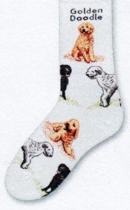 Golden Doodle is on top of this Dog Poses Sock that starts out on a White background. The Golden Doodles are in Poses around the sock and are in Tan, Black and White, Black, Black and Grey.