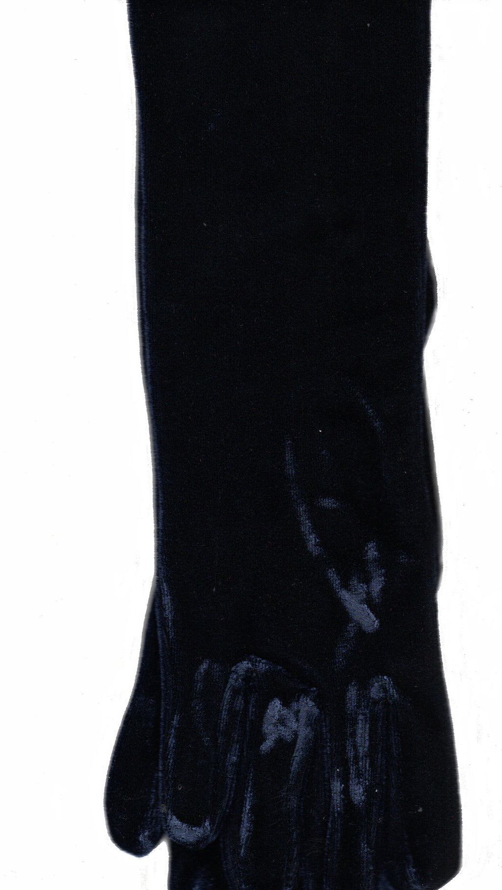 Lauer Stretch Velvet 12 Button Length Glove in Sapphire,