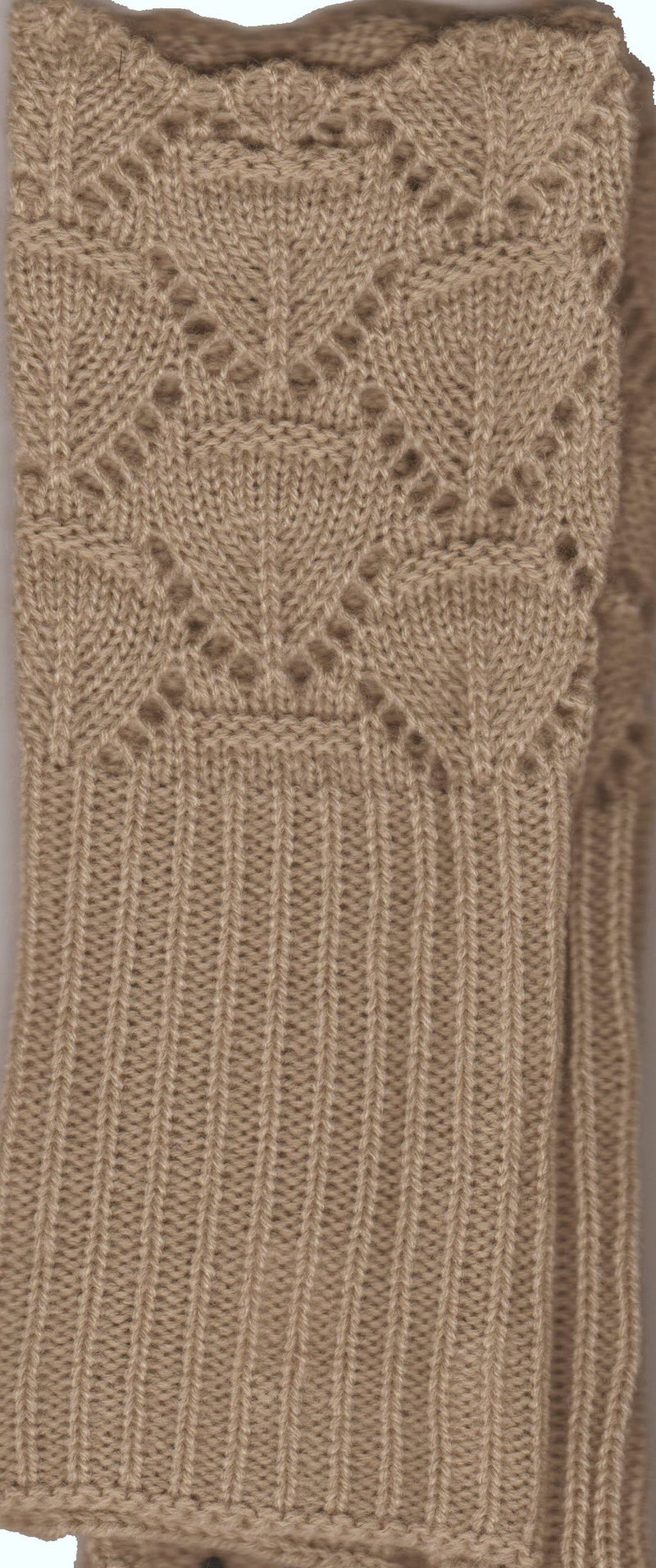 Camel Lace and Scallop Edge Design Lauer Glove for Petite Hands