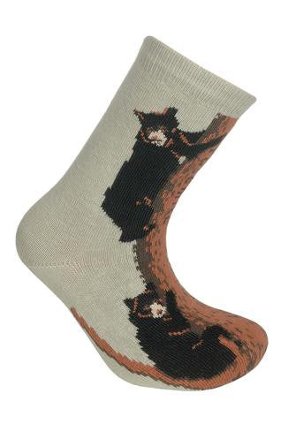 Wheel House Designs Bears Climbing for Children Sock starts on a Stone background. With Three Black Bears climbing the Conifer Tree. The Tree Trunk is Rufous and Bole Colors. The Bears are three Black Bears with Rufous Detail and Cream Snouts.