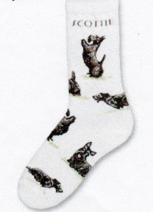 FBF Scottie Dog Poses 2 Socks start on a Bright White background with the Word Scottie in bold Black print. The Scottie has several poses on this sock. One is up on his hind feet wanting up. All are Black and Grey Coats.