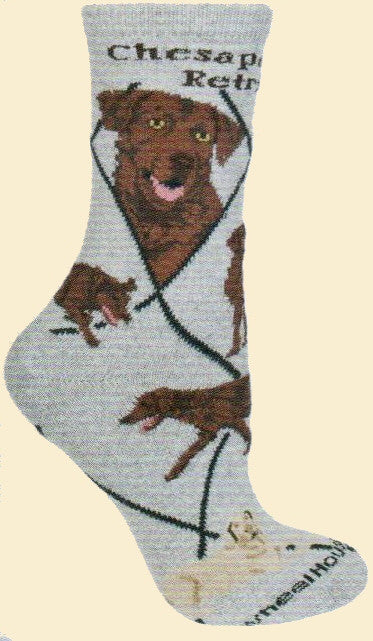 Chesapeake Bay Retriever Sock starts on a Grey background with Black Bold print showing the name of the breed. Black Lines make diamonds over the sock. Portraits show the Chesapeake as a happy large size dog. The poses show the Chesapeake walking, running and laying down.