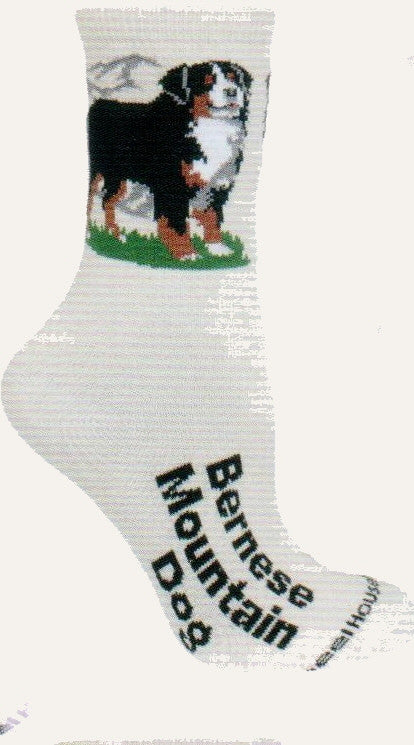 Wheel House Designs 2014 Designer Collection shows the Bernese Mt Dog on Green Grass in a Mountain Scene. Below is the name of the Dog on the foot Bernese Mountain Dog. Background sock is Natural color.