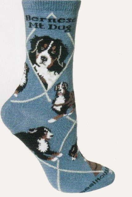 This Bernese Mountain Dog Sock starts on a Blue background with White Lines that make the Diamonds. Bold Black print reads, Bernese Mt. Dog. The portraits show the most common colors and the poses show the Dog with a Cart or doing agility training.