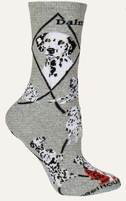 Wheel House Designs Dalmatian Sock is on a Grey background with Black Diamond Lines and Bold Black Print reading Dalmatian. Portraits show each alert spot on Dalmations. The poses are of a puppy playing, adult laying down, one sitting on hindquarters and one by a red fire hydrant.