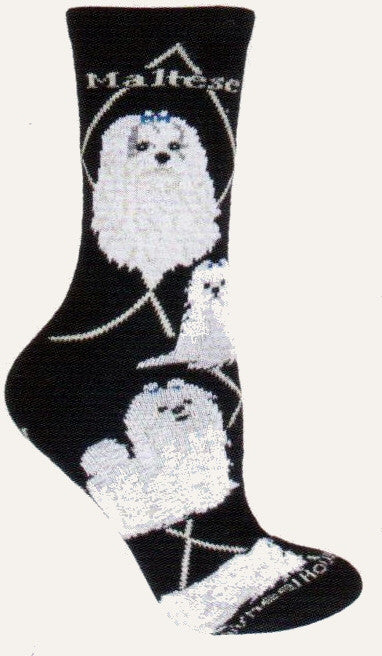 The Maltese Sock starts on a Black background with Grey Diamond Lines and Maltese. The Portraits are White with Grey and Blue Bows. The Poses are a Show Stance with the Tail Up! Laying Down and Sitting.
