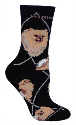 This Pomeranian Dog Sock starts on a Black background with Tan Diamond Lines and Chocolate Bold Print reading Pomeranian. The Portraits are Tan, Chocolate, Black and Brown. The Poses are Standing in Stance, Laying Down, Sitting and Standing on Hind Feet wanting up.