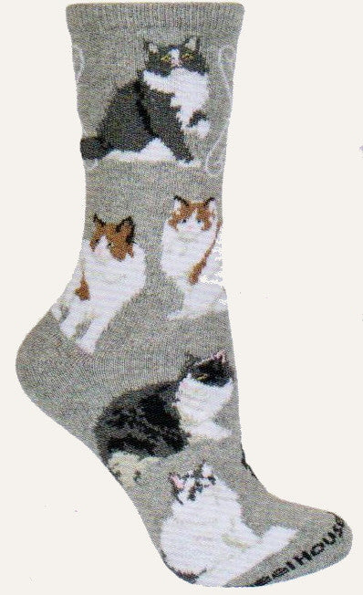 Wheel House Designs Ragamuffin Cat on Grey are the Cats in poses and in Colors these Cats come in. 