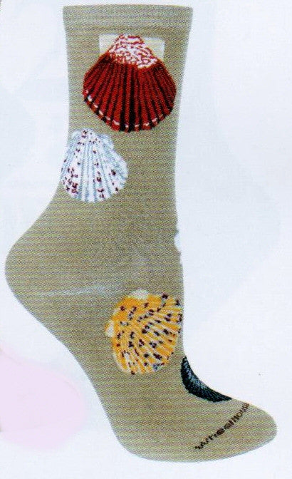 On a sandy color background is Wheel House Designs Sea Shells Sock. It is mostly of  Scallops of different colors. White, Brown, White and Red, Yellow and Red and more.